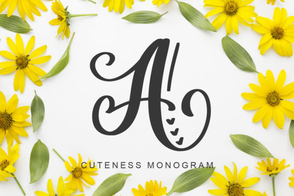 Amorah Monogram: A Designer’s Honest Take on This Script Amp