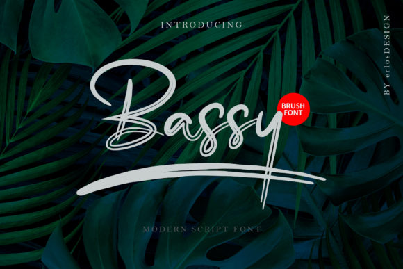 Bassy Font: A Delicate Script for Handmade Products and Printables
