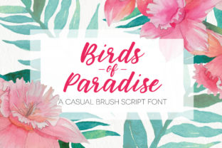 Birds of Paradies Font: A Handwritten Touch for Editorial Design
